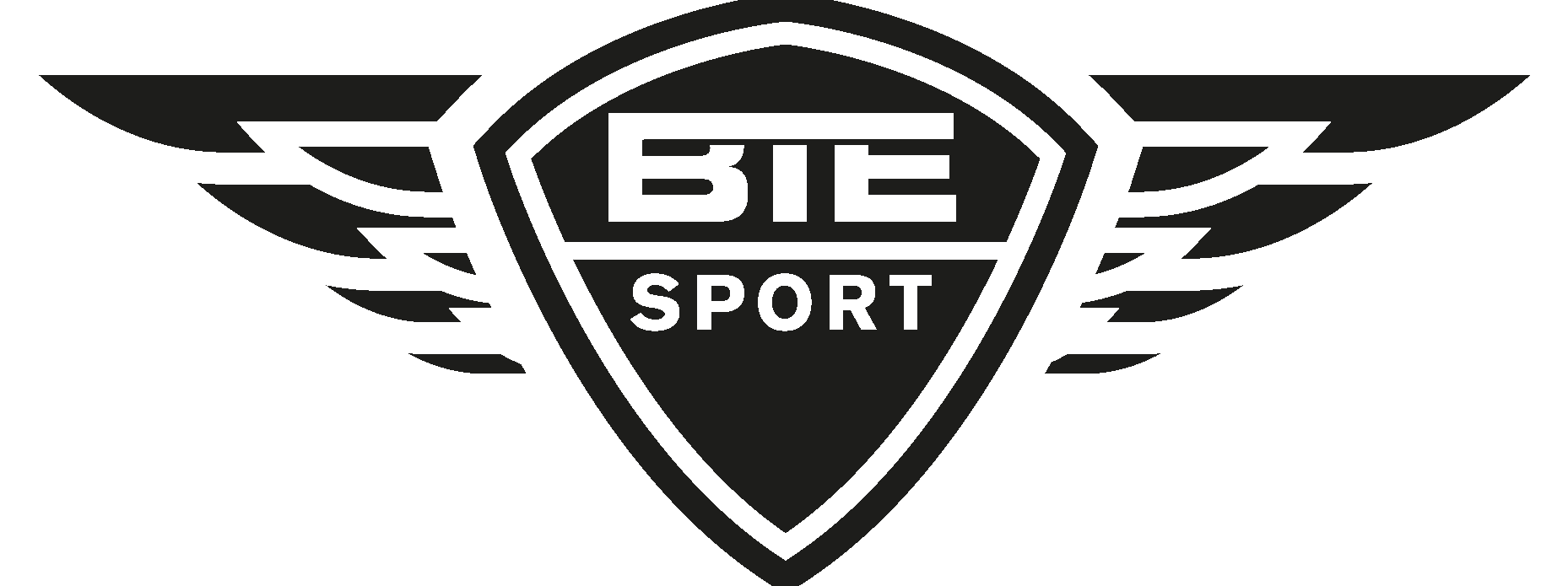 BTE Sport New Logo Vector Logo